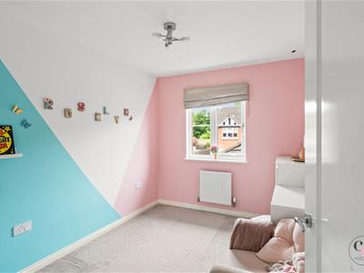 Picture 41